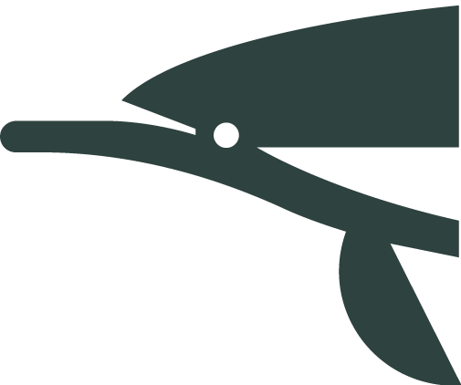 Dolphin-graphic