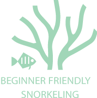 beginner-friendly-graphics